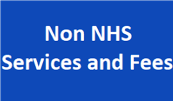 NON NHS SERVICES AND FEES